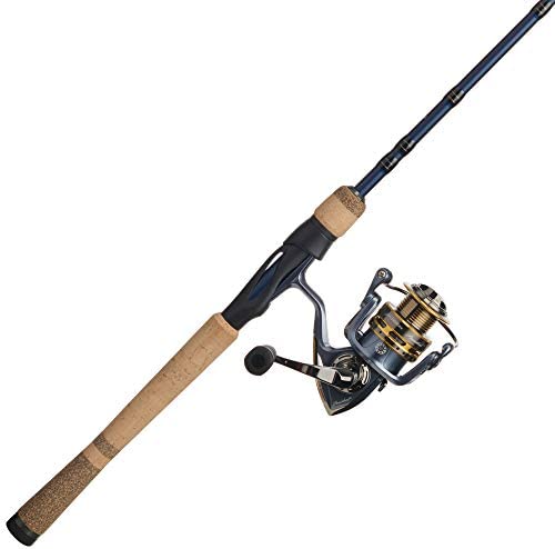 Pflueger President Spinning Reel and Fishing Rod Combo (All Models & Sizes)
